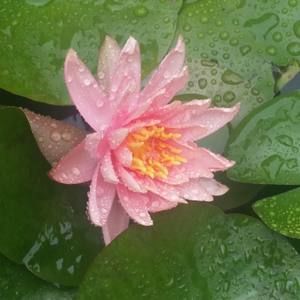 Meet your Posher, Leigh